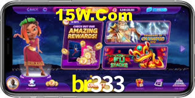 br333.com
