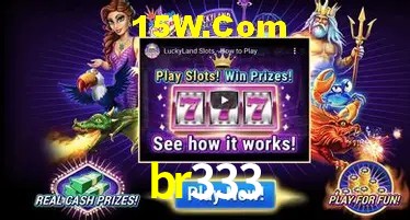 Recursos de Bônus br333