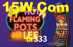 br333.com