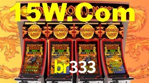 br333.com